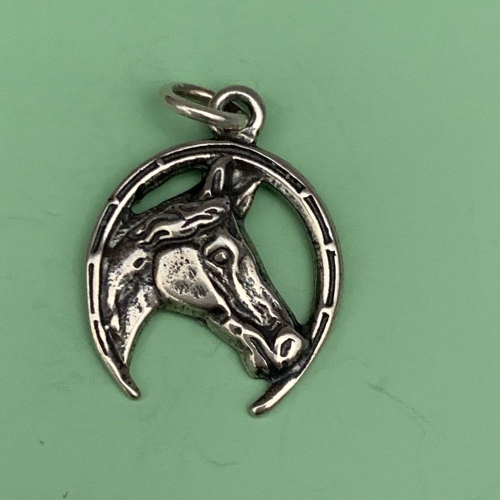 Horseshoe with Horse Sterling Silver Jewelry Charm #western